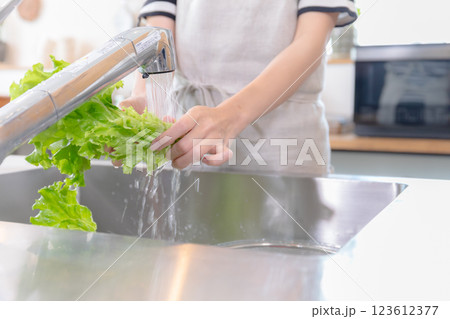 キッチンで野菜を洗う若い女性 123612377
