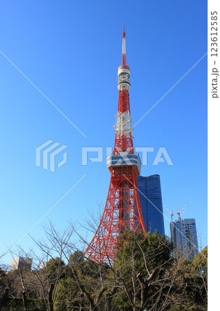 青空にそびえる東京タワー 123612585