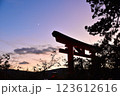 夕暮れの箱根神社の鳥居 123612616