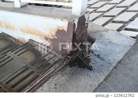 犬の小便 123612762