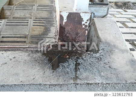 犬の小便 123612763