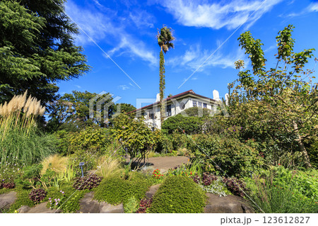 港の見える丘公園の夏 123612827