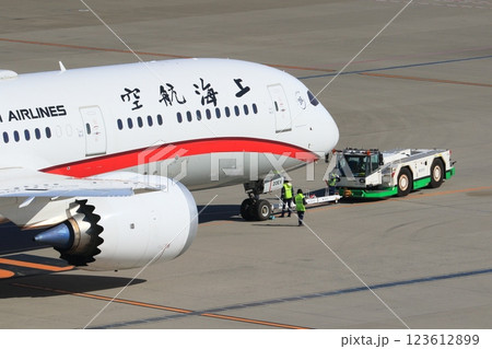 トーイングトラクターにプッシュバックされた旅客機 123612899