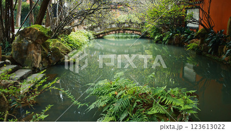 Chengdu, Sichuan, China. Pond At Park Of Wuhou Memorial Temple. People Walk On Background. Calmness And Tranquility. Calm Pond. Ferns Leaves Green Foliage. Green Fern Bushes 123613022