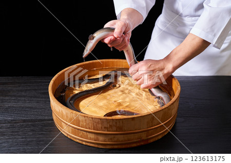 うなぎを捕まえる板前 123613175