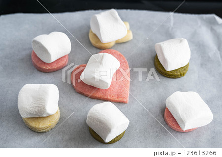 マシュマロをのせて焼く前のクッキー 123613266