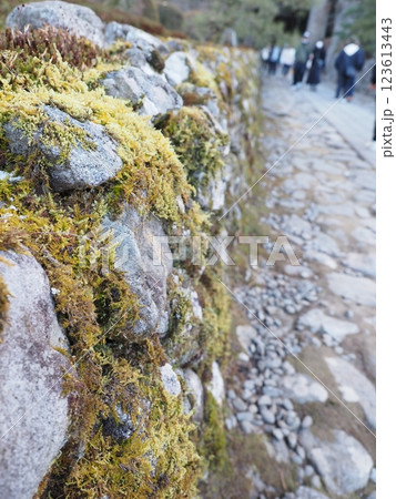 信州　光前寺　駒ヶ根市 123613443