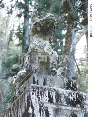 信州　光前寺　駒ヶ根市 123613895