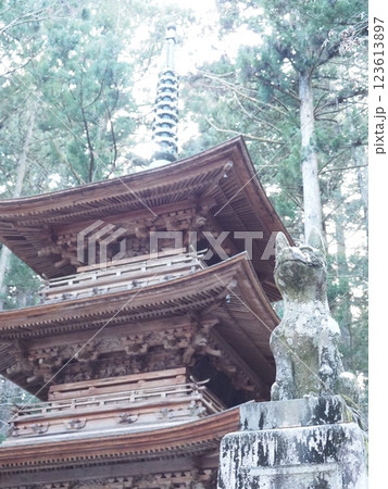 信州　光前寺　駒ヶ根市 123613897