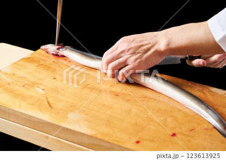 鰻を捌く板前 123613925