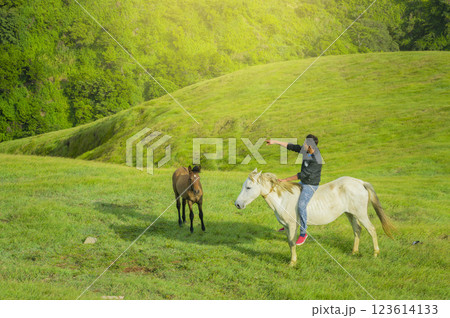 Young man in the field riding horse, A man riding horse in the field and pointing, riding a beautiful horse in the field 123614133