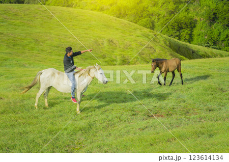 Young man in the field riding horse, A man riding horse in the field and pointing, riding a beautiful horse in the field 123614134