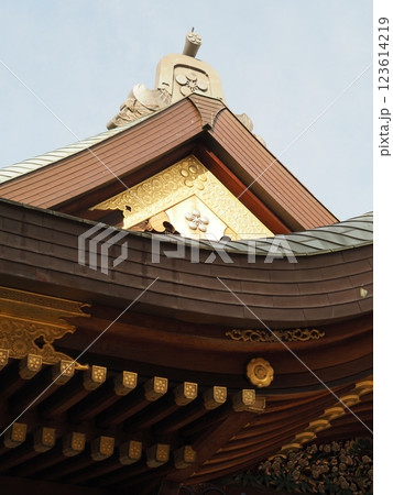 湯島の梅 湯島の梅 123614219