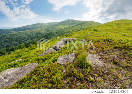 stones and rocks on the slope of alpine meadow. natural environment. summer mountain landscape with cloudy sky. grassy hill top in the distant background. rolling scenery with open vista stones and rocks on the slope of alpine meadow. natural environment. summer mountain landscape with cloudy sky. grassy hill top in the distant background. rolling scenery with open vista 123614505