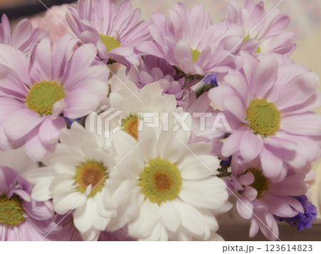 ピンポンマムの花瓶 ピンポンマムの花瓶 123614823