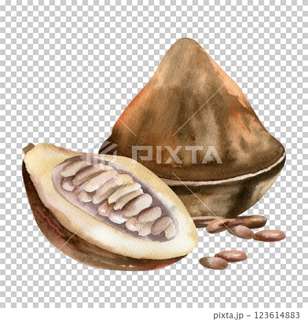 Cocoa beans watercolor composition with cocoa powder, pod and dried beans illustrations. Hand drawn isolated tropical fruit clipart, coffee and chocolate ingredient painting for packing,label design 123614883