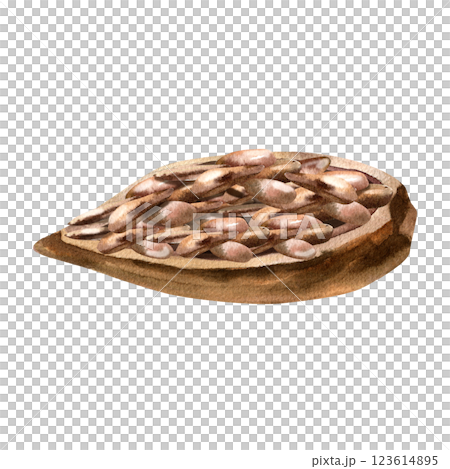 Cocoa beans in dried shell watercolor illustration. Isolated coffee beans clipart, tropical tried fruit and nut painting for chocolate label, logo, coffee packing design 123614895