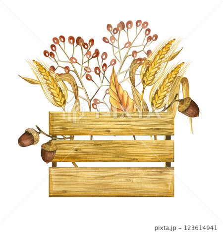 Harvesting, a box with nuts, ripe berries, ears of wheat, dry leaves, branches. All objects are hand-drawn with watercolors. Suitable for printing on product packaging, fabric, for design. Harvesting, a box with nuts, ripe berries, ears of wheat, dry leaves, branches. All objects are hand-drawn with watercolors. Suitable for printing on product packaging, fabric, for design. 123614941