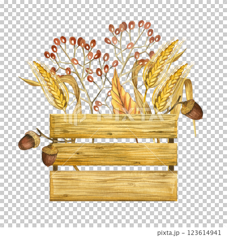 Harvesting, a box with nuts, ripe berries, ears of wheat, dry leaves, branches. All objects are hand-drawn with watercolors. Suitable for printing on product packaging, fabric, for design. Harvesting, a box with nuts, ripe berries, ears of wheat, dry leaves, branches. All objects are hand-drawn with watercolors. Suitable for printing on product packaging, fabric, for design. 123614941
