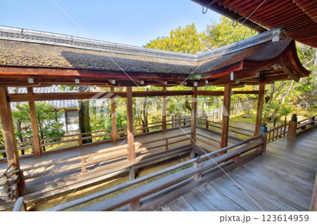 仁和寺の廊下 123614959