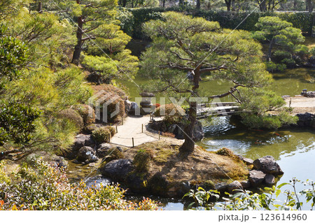 仁和寺の北庭 仁和寺の北庭 123614960
