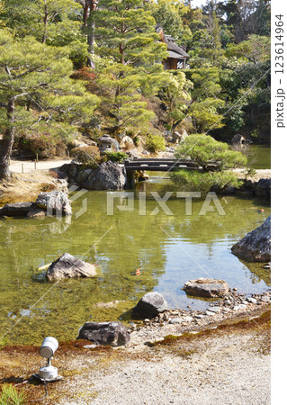 仁和寺の北庭 123614964