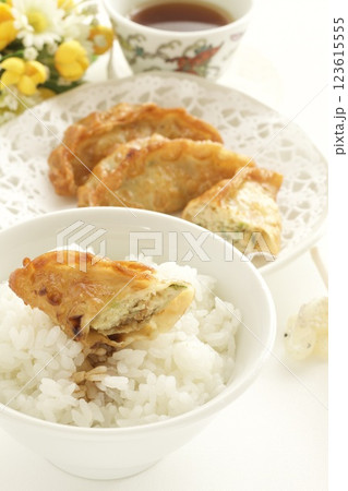 揚げ餃子とご飯 揚げ餃子とご飯 123615555