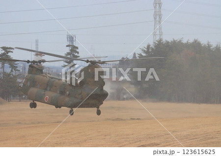 砂ぼこりを巻き上げながら離陸するCH-47Jヘリコプター 123615625