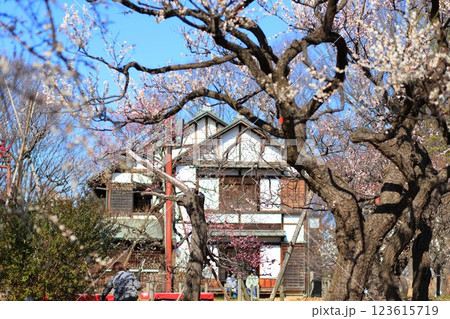 東京都 府中市郷土の森 梅園 東京都 府中市郷土の森 梅園 123615719