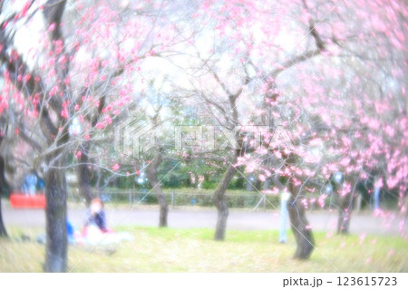 東京都 府中市郷土の森 梅園 東京都 府中市郷土の森 梅園 123615723