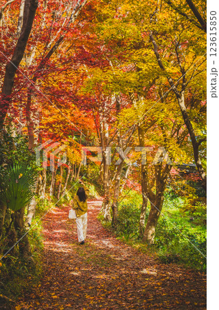 紅葉トンネル 123615850
