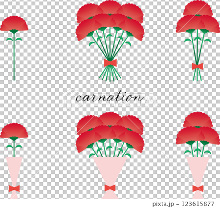 康乃馨花束套裝 康乃馨花束套裝 123615877