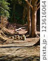 山道の遊び場 123616064