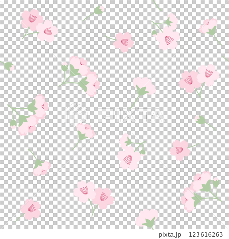 かわいい桜の花シームレスパターン かわいい桜の花シームレスパターン 123616263