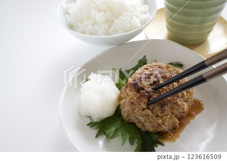ミニハンバーグの大根おろし添え 123616509