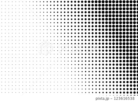 Right Side Black and White Halftone Gradient 123616538