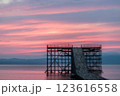 鳥人間 123616558