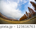 紅葉の山に差し込む光 123616763