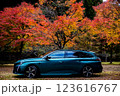 紅葉の中の青い自動車 123616767