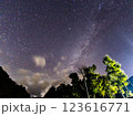 星降る夜 123616771
