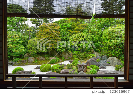 妙心寺退蔵院 元信の庭 妙心寺退蔵院 元信の庭 123616967