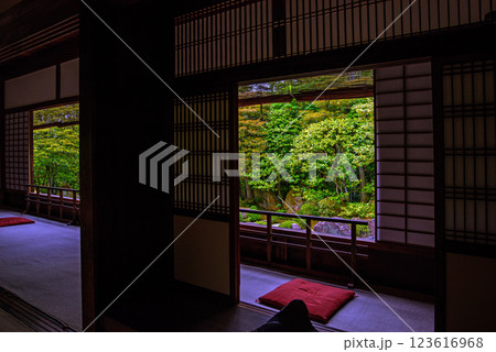 妙心寺退蔵院　元信の庭 123616968