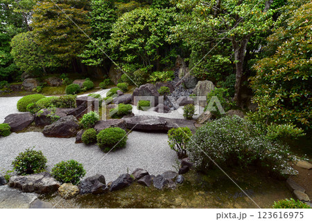 妙心寺退蔵院　元信の庭 123616975