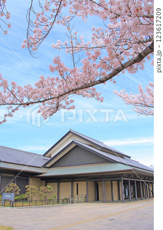 愛知県名古屋市、名古屋能楽堂と満開の桜の風景 123617209