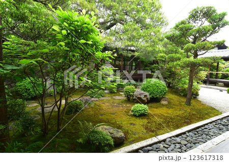 妙心寺退蔵院　方丈庭園 123617318
