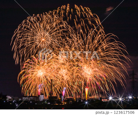 伊予彩祭り 伊予彩祭り 123617506