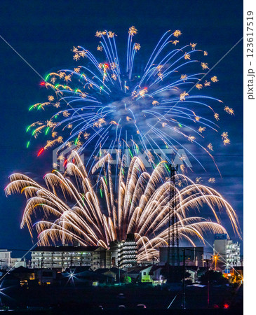 伊予彩祭り 伊予彩祭り 123617519