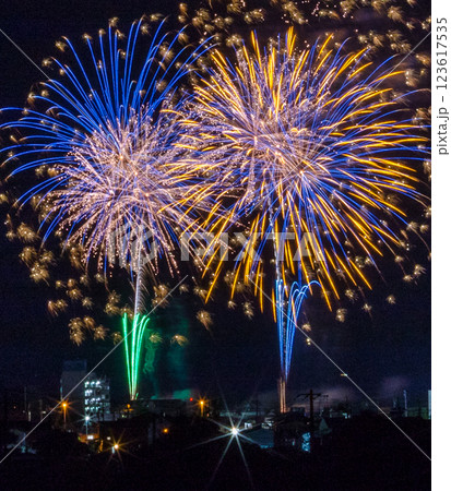 伊予彩祭り 伊予彩祭り 123617535