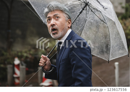 傘をさすビジネスマン 123617556