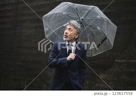 傘をさすビジネスマン 123617558